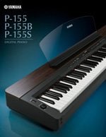 P-155 Brochure -